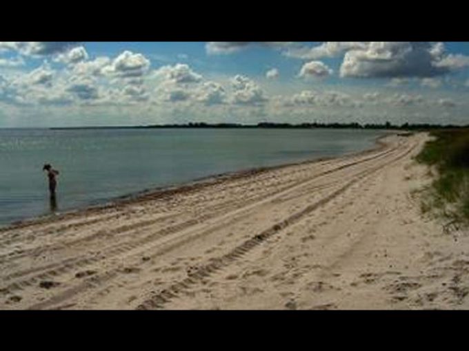 Brondby Beach