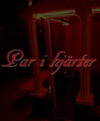 Club Par I Hjarter Swingers Club in Sweden