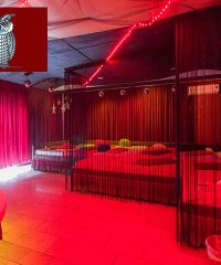 Die Eule Club