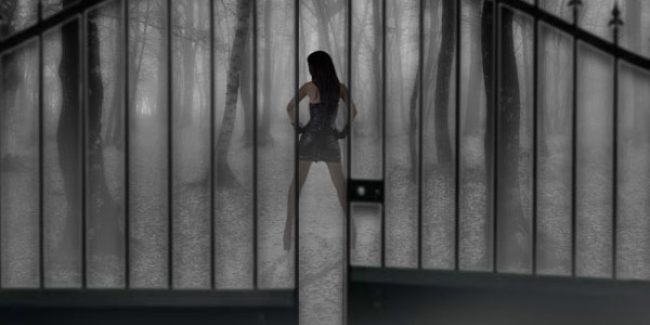 Les Nuits Obscures