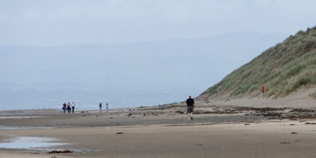 Morfa Dyffryn