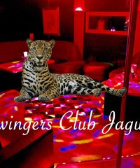 Swingers club Jaguar