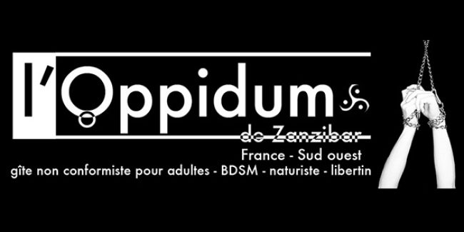 The Oppidum