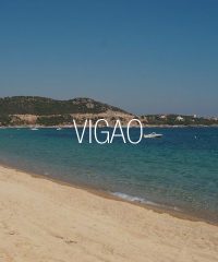 Vigao