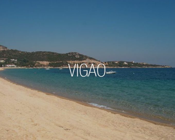 Vigao