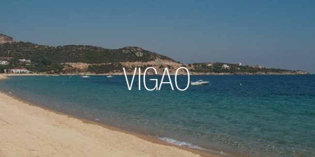 Vigao