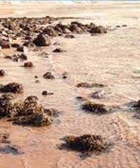 Ardeer, North Ayrshire
