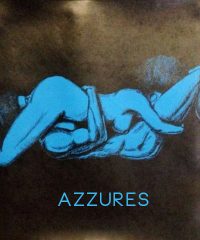Azzures – swingers club in Devon