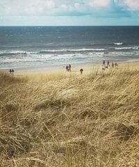 Callantsoog