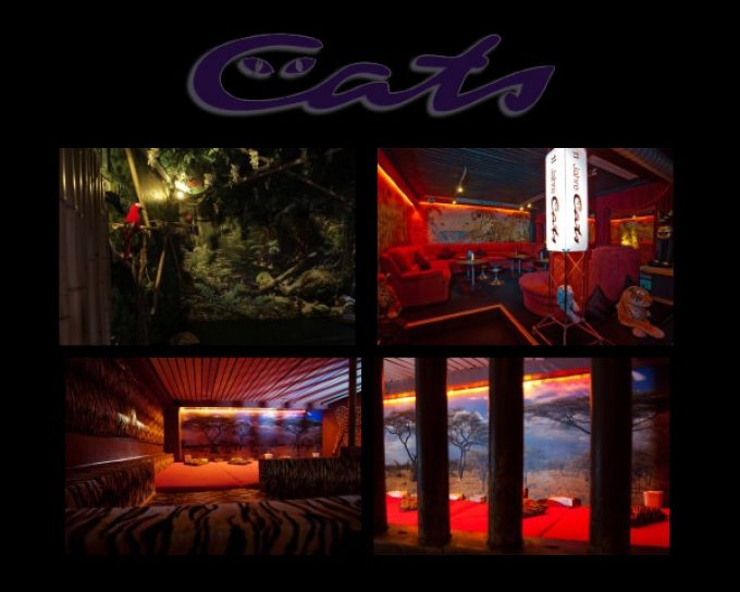 Cats Swinger Club