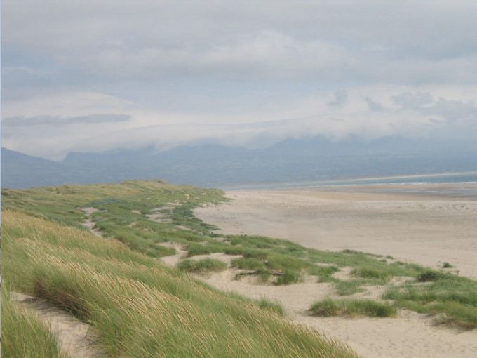 Newborough Warren