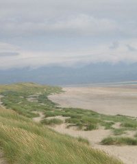 Newborough Warren