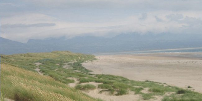 Newborough Warren