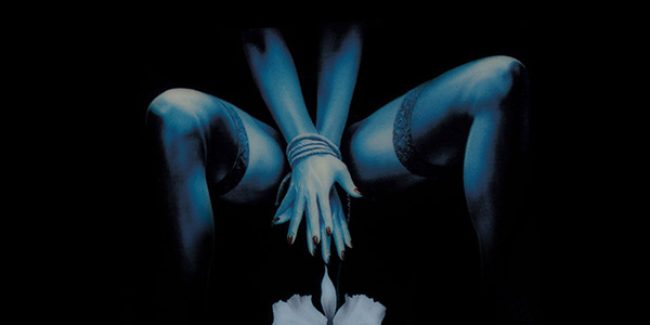 L’Orchidée Noire