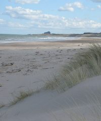 Ross Sands Northumberland