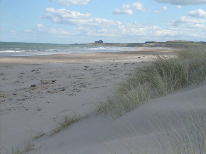 Ross Sands Northumberland
