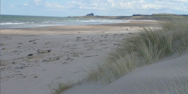 Ross Sands Northumberland