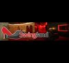 Swingland Swingers Club in Denmark