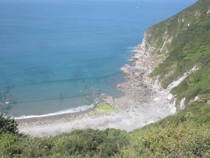 Wild Pear Beach, Devon