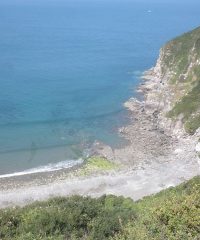 Wild Pear Beach, Devon