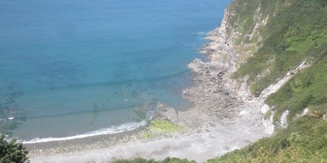 Wild Pear Beach, Devon
