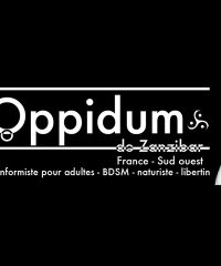 The Oppidum