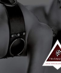 Triangulo VIP